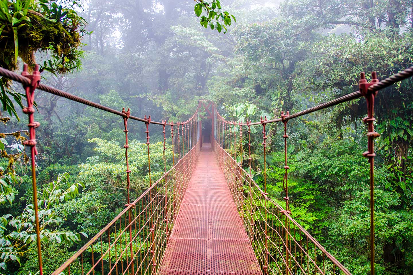 Vuela a Costa Rica (y Toronto) desde 239€ trayecto