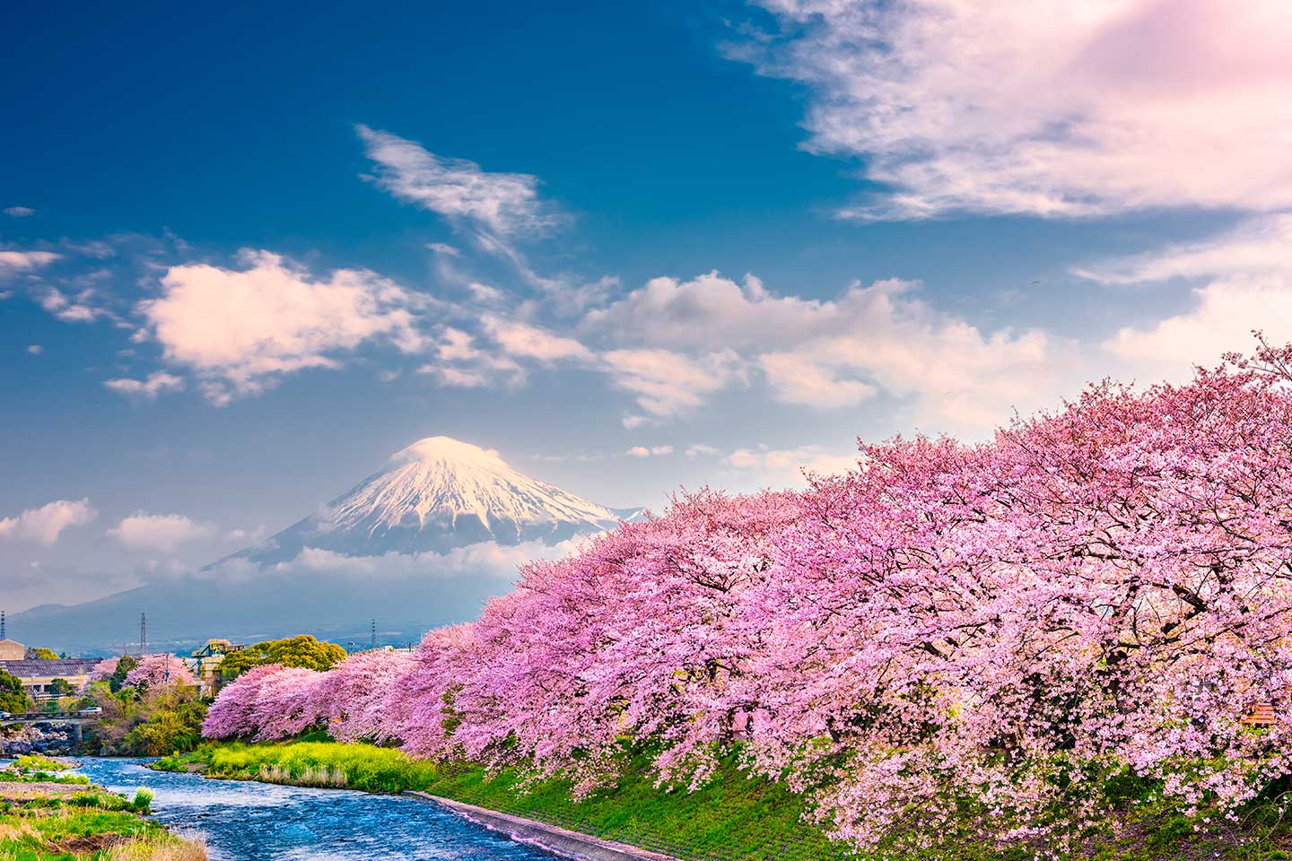 WOW! En San Valentín vuela a Japón (y París) desde 187€ trayecto